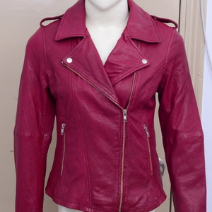 <b>Women's</b> Cow Skin Knitted Moto <b>Jacket</b> Customized Color Solid Color Full Sleeve Zipper Closure Regular Length Anti-Wrinkle Cotton - Product Image 6