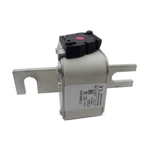 Cầu chì điện áp thấp Đặc điểm khối cầu chì sứ ô tô 1100A 690V 170m6265 cầu chì cực chất lượng cao - Product Image 2