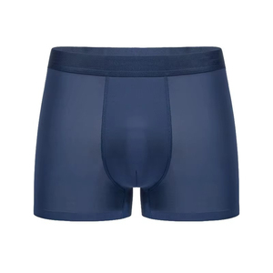 Boxers de sport pour hommes, sous-vêtements extensibles, respirants, à séchage rapide, short intérieur, taille élastique, confortables, pour le fitness et le quotidien - Product Image 1