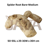 Bois d'escalade pour reptiles et amphibiens Java, écologique, durable, type racine d'araignée, moyennement herbeux, pour l'élevage