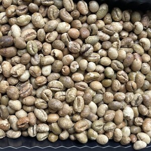 Café Vert Robusta Taille 16 Origine Vietnam, Grains de Café Verts A, 60kg, Qualité Supérieure, Pureté 95 à 99%, Sacs en Vrac - Product Image 6