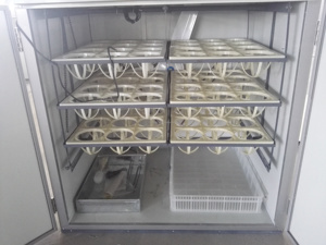 大容量自動72個ダチョウ卵孵卵器 - Product Image 4