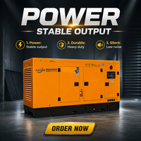 Groupes électrogènes diesel silencieux 100kW 150kW 200kW 300kW 500kW 1000kW monophasés/triphasés à faible bruit pour usage industriel et de secours (Planta Eléctrica)