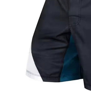 Shorts MMA légers, best-sellers, design robuste, conçus pour la performance, le confort et la flexibilité en entraînement - Product Image 6