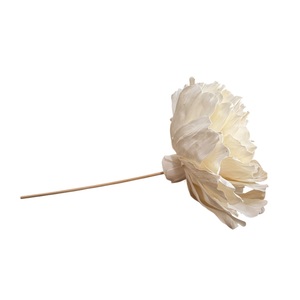 Grande fleur de pivoine faite à la main en bois de Sola, tige en fibre végétale d'Espagne de 15 cm - Product Image 5