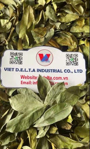 Hojas de Guanábana Orgánicas, Guanábana, Guanábana Roja, 100% Secas Naturalmente - Hojas Grandes - Calidad Superior - Product Image 3