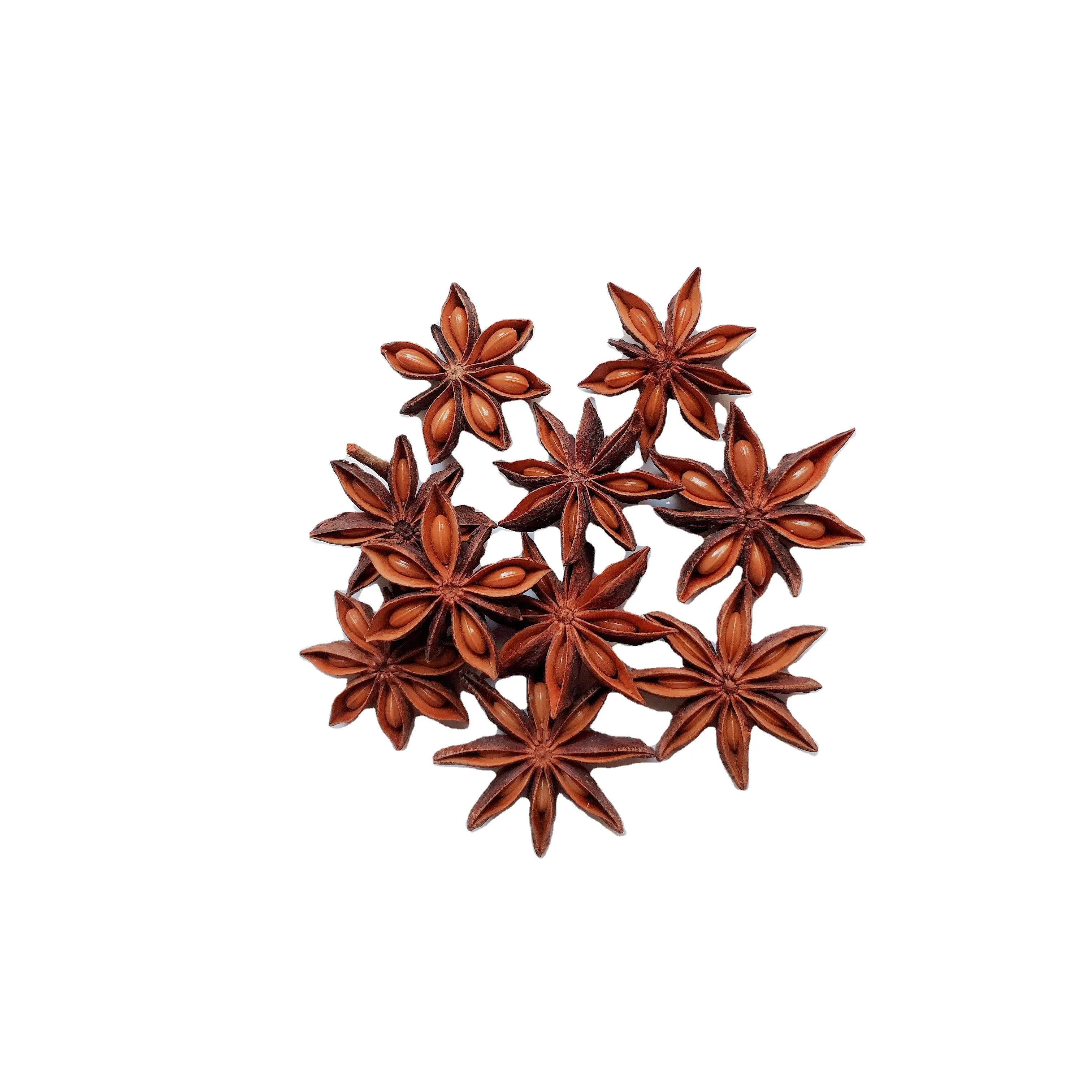 Vietnam origin STAR ANISE export raw material spicy spices WHOLE/BROKEN ANISEEDS on season