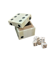 Ensemble de dés carrés modernes faits à la main et écologiques en os et résine pour jeux de pelouse, camping, activités de jardin et décoration de jardin