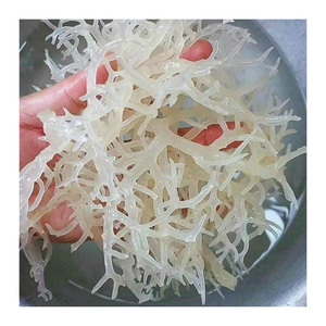 Alga Cottonii Seca a Granel de Vietnam, Musgo Irlandés Natural Seco, Musgo Sin Sal Secado al Sol, Proveedor de Exportación - Product Image 2