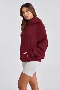 Hoodie Heavyweight Fleece Quiet Luxury Streetwear OEM Manufacturer Women's Luxury Blank Hoodie Thick Cotton Premium Hoodie - Product Image 1