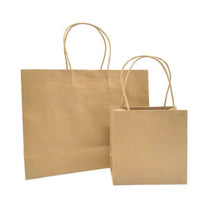 Custom Printed Kraft <b>Bag</b> Recyclable Twisted Handle <b>Bag</b> - Product Image 2