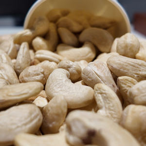 Selección al por mayor para compradores globales: Nueces de cacho de cola orgánicas frescas de África de primera calidad W180, directamente de fábrica en Vietnam, precio competitivo. - Product Image 1