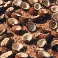 Coques de noix de coco de qualité supérieure, déchets agricoles, meilleur prix, qualité export, Royaume-Uni, durée de conservation de 2 ans, charbon de bois, combustible artisanal, 7-14