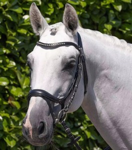 Licol d'entraînement robuste en sangle de nylon pour chevaux, réglable avec double boucle, respirant, pour l'encastrement et la pâturie - Product Image 6