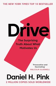 Livre en anglais de Daniel H. Pink, livre sur l'autofertissabilité et la leadership, édition brochée - Product Image 4