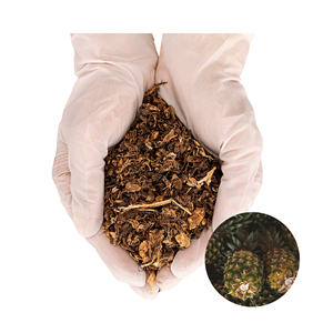 Gran Oferta: Material de Alimento de Cáscara de Piña de Calidad de Exportación, Suministro de Fabricante Vietnamita, Embalaje a Granel Disponible - Product Image 1