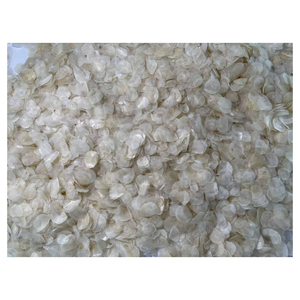 Escamas de Pescado Secas de Calidad de Exportación para Aplicaciones de Fabricación Sostenible y Utilización de Recursos Marinos - Product Image 4