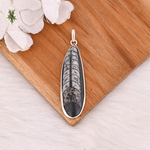 Pendentif en argent sterling 925 massif, pierre précieuse fossile Orthoceras, pendentif long fait main, pendentif en argent de créateur, cadeau d'anniversaire - Product Image 2