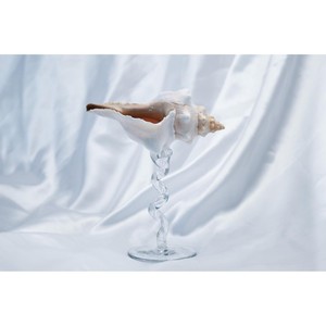 Fabriqué à partir de verre transparent de haute qualité et orné de détails inspirés des coquillages pour un attrait décoratif raffiné et une brillance durable. - Product Image 6