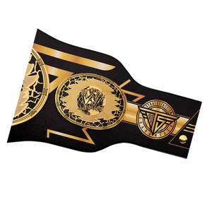 Ceinture de champion de la WWE, édition féminine, poids lourd mondial - Product Image 3