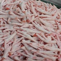 Pieds de poulet congelés de haute qualité du Brésil, pattes de poulet, muscles, meilleure qualité, en vrac, prêts à l'exportation, pas cher, à vendre