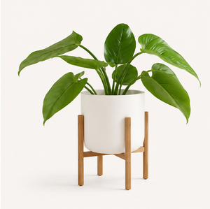 Support de plantes en bois moderne réglable, support de pot de fleurs en bois écologique pour la décoration intérieure du salon - Product Image 3
