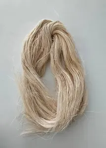 Fibra de Plátano Blanca Pura, Marca CRADLE of LIFE de Jharkhand, Materia Prima para la Industria Textil - Product Image 3