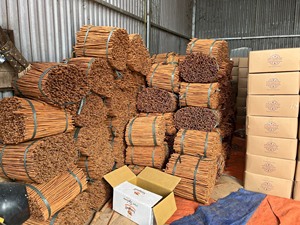 เวียดนามส่งออกคัสเซีย/ซิมต์/ดาร์ชินีคุณภาพสูงแบบแท่งยาว - ราคาแข่งขันและกลิ่นหอมเข้มข้น WA84362512699 - Product Image 4