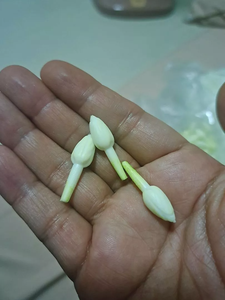 ดอกมะลิประดิษฐ์ พลาสติก ขนาด 2.8 ซม. ดอกไม้ทำมือ สำหรับพวงมาลัยและของตกแต่ง - Product Image 4