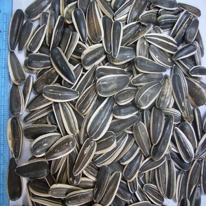 Graines de tournesol séchées noires de haute qualité, de grade supérieur, pureté brute de 99,8 %, sacs de 25 kg, vente en gros, consommation humaine - Product Image 1