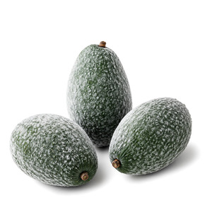 Oferta Especial Estándar Internacional: Delicioso Aguacate Entero Congelado Hecho en Vietnam, Venta al por Mayor - Product Image 1