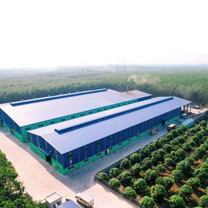 Té Verde Original en Lata de Aluminio de 330 ml, Ingredientes para Té de Burbujas, Marca VINUT para Venta al por Mayor, 24 Meses de Duración - Product Image 2