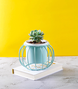 Ensemble de 2 supports métalliques durables et légers avec jardinières (plantes non incluses) Pots en métal pour la décoration de la maison - Product Image 4