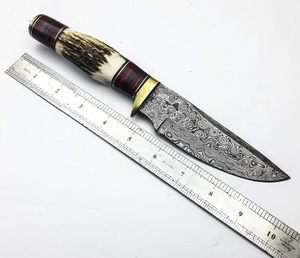 Couteau de chasse et de camping de haute qualité en acier Damas avec manche en cuir, lame de 5 pouces, tranchant, OEM - Product Image 5