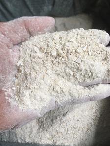 Hueso de Sepia Seco de Vietnam para Aves, Hueso de Sepia de Alta Calidad para Alimentación Animal, Hueso de Sepia Blanco Natural - Product Image 3