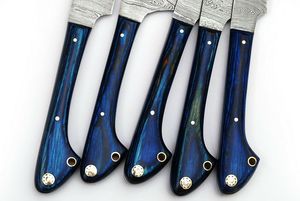 Ensemble de 5 couteaux de cuisine de qualité industrielle, en acier damas fait main, à lame droite et pointe tombante, manches en bois bleu, garantie de 3 ans - Product Image 5