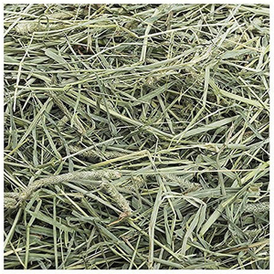 Foin de luzerne de qualité supérieure en balles fraîches pour l'exportation en gros aux distributeurs et importateurs du monde entier - Product Image 3