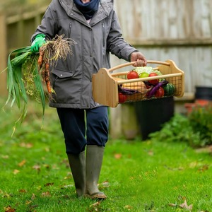 Panier de récolte en bois adapté à la collecte de fruits et légumes, au stockage de la récolte du jardin et à la décoration de la ferme et de la maison - Product Image 4