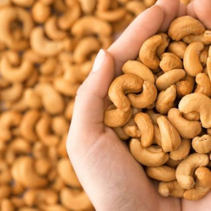 Nueces de Anacardo de Vietnam Tostadas y Saladas con Cáscara, a Granel, OEM, ODM, Grado de Exportación, Envasadas al Vacío, Suministro de Nueces Secas, Fabricante - Product Image 1