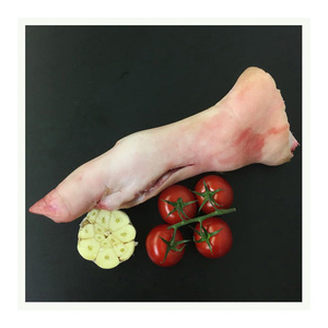Wholesale High-quality Top Grade AA Frozen <b>Pork</b> Front Feet Bulk Packaging - Product Image 1