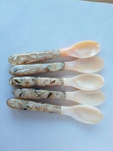 Modern Resin Spoon Set For Home Kitchen Restaurant Hotel Banquet Wedding Dining And Special Celebration Tables - Product Image 3