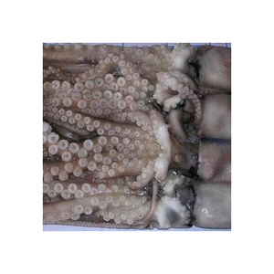 Poulpe Congelé de Qualité Supérieure en Gros, Grade Alimentaire, Stock Prêt, Fournisseur d'Exportation de Confiance - Product Image 6