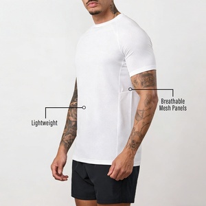 Fabricante de Camisetas Deportivas Personalizadas de Alto Rendimiento, Ligeras, Transpirables, de Malla, de Secado Rápido, para Entrenamiento, Camiseta Deportiva para Hombre - Product Image 2