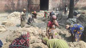 แคดดี้ปอกระเจาจากบังคลาเทศมีหลายขนาด - Product Image 4