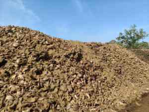 Fibras de Coco 100% Orgánicas Naturales en Pacas, Cuerda Premium para Construcción y Colchones, Comprimida, Venta al Por Mayor desde Tamil Nadu - Product Image 6