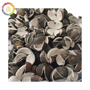 Écorces d'orange et de mandarine séchées coupées en tranches pour l'exportation, vente en gros, approvisionnement en vrac, prix compétitif - Product Image 3