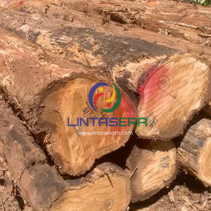 Premium Golden Teak Wood <b>Logs</b> from Thailand for Furniture Manufacturing Woodworking or Construction - Product Image 1