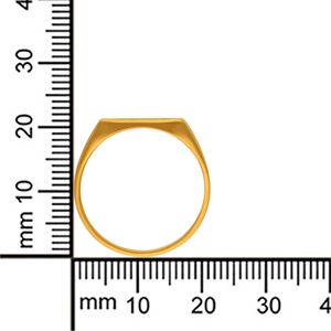 Bague rectangulaire Prestige Horizon en or mat pour homme, bague signet de designer minimaliste moderne, bijoux de luxe en or - Product Image 5