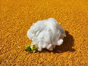 Vietnam White Recycled <b>Polyester</b> Staple Fiber Non-Siliconized 7D/15D 32/64mm Anti-static Anti-Distortion <b>Filling</b> Material ISO - Product Image 5
