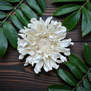 ดอกไม้ประดิษฐ์จากไม้โซลา รูปดอกเบญจมาศ ขนาด 10 ซม. พร้อมก้านไฟเบอร์จากต้นเซสบาเนีย สำหรับอโรมาเธอราพี ทำด้วยมือ - Product Image 3